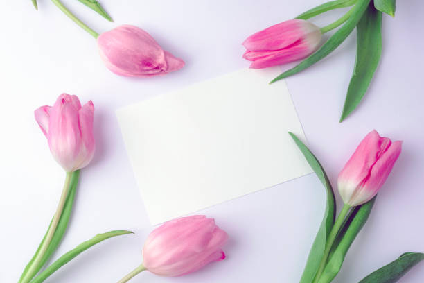 istock Blank card and pink tulips, spring holidays concept. Top view, flat lay, mockup 1964686112