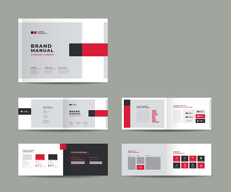 Brand Guideline Design or Company theme and art direction guide or Identity color sheet