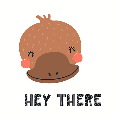 Hand drawn vector illustration of a cute funny platypus face, with lettering quote Hey there. Isolated objects on white background. Scandinavian style flat design. Concept for children print.