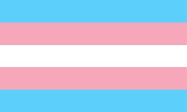istock Transgender pride rainbow flag, LGBT community, five horizontal stripes of three colors in the order light blue, light pink, white, light pink, and light blue 1964761961