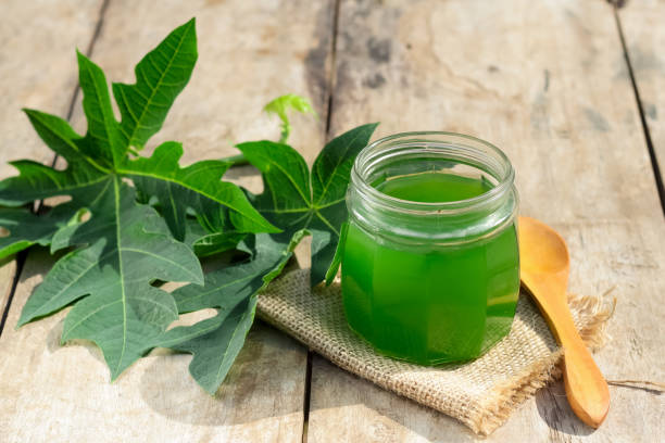 istock Papaya leaf extract With papaya leaves on wooden table 1964772597