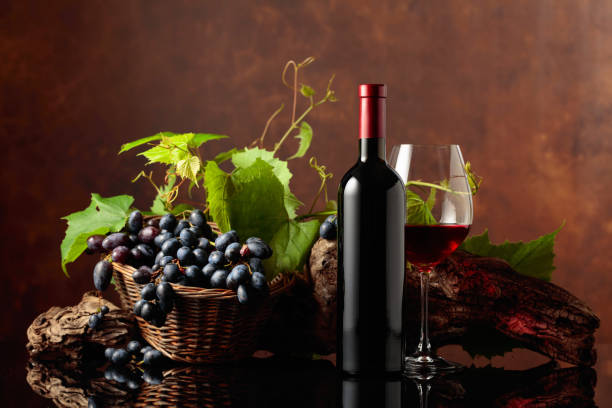 glass and bottle of red wine with blue grapes and vine branches. - bottle bordeaux green wine - fotografias e filmes do acervo