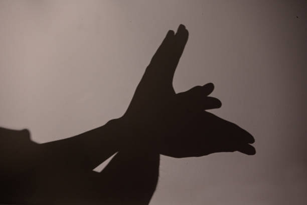 istock Child hands making bird on the wall, shadoows, game with shadows on wall 1964781768