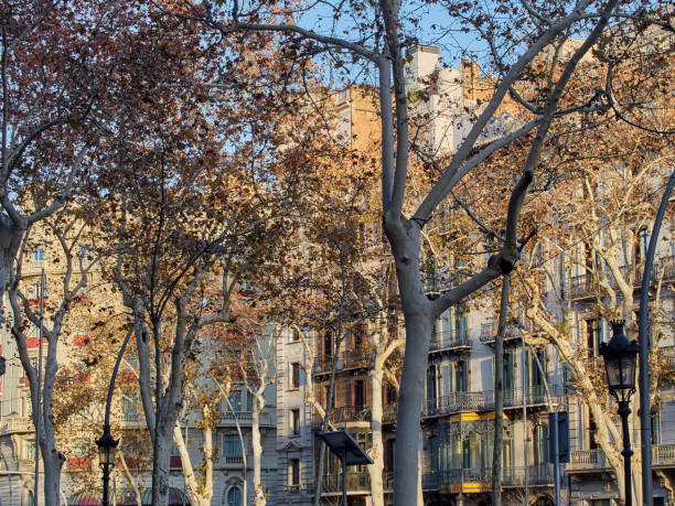 gran via de les corts catalanes, uma rua em barcelona. espanha, europa - gran via - fotografias e filmes do acervo