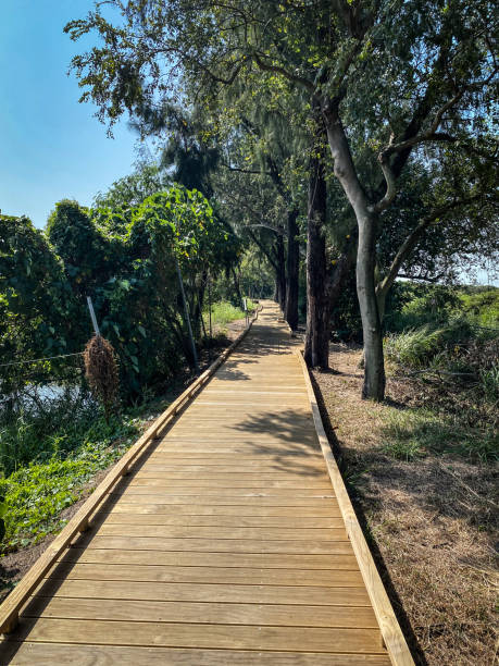 Examples Of Path 1,000+ Natures Path Stock Photos, Pictures & Royalty-Free Images - iStock