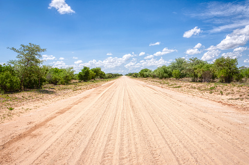 perspective of sand dirt road in the bush, outback dry landscape, daytime, sky with cumulus clouds