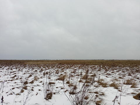 Cloudy weather over a grassy winter field on which a little snow lies. A clear horizon line divides the photo into two parts. Winter field landscape.