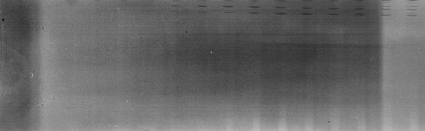 istock Old grunge filmstrip 1964856353