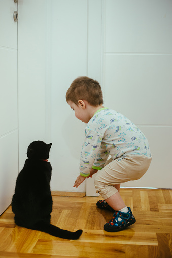 Baby boy playing with cat stock photo