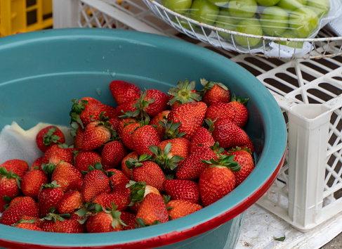 Fresh strawberries are sold at the market, Hau Giang province