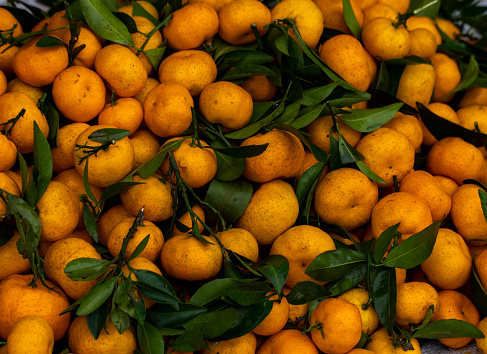 Dried citrus fruits frame, sliced orange and tangerine, lime and lemon, kumquat and grapefruit slices , preparation for the celebration of Christmas