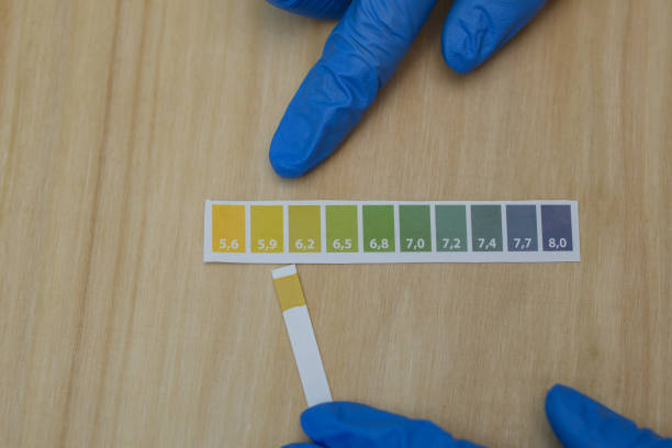 istock A chemist checks the pH level of a solution 1964941386