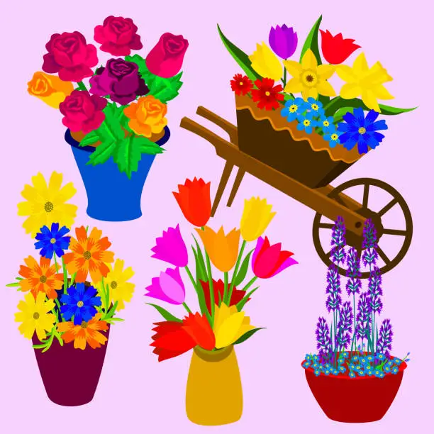 Vector illustration of Vector - Flowerbouquets illustration.