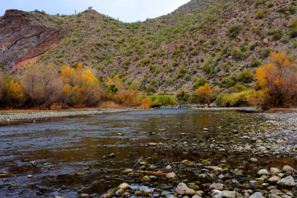 istock Salt River Recreation Area Arizona 1964971146