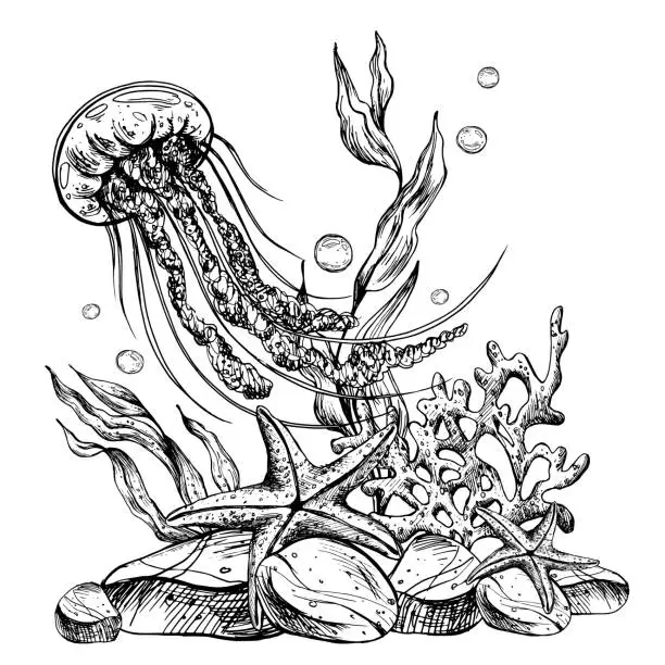 Vector illustration of Underwater world clipart with sea animals jellyfish, starfish, pebbles, bubbles, coral, sponge and algae. Graphic illustration hand drawn in black ink. Composition EPS vector.