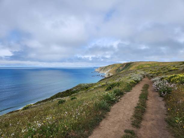 istock Ocean view and dirt trail 1965048726