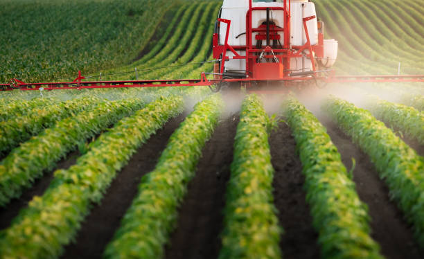 istock Tractor spraying soybean crops field 1965050870