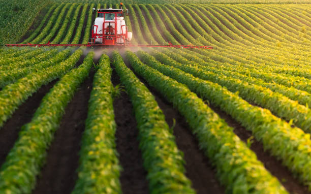 istock Tractor spraying soybean crops field 1965050871