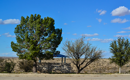 New Mexico, USA - November 20, 2019:  place to relax in the park near the lake, New Mexico