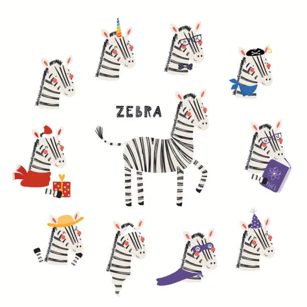 Vector illustration of Cute little zebra illustrations set