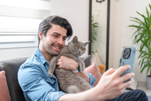 istock Cat with family member 1965073650