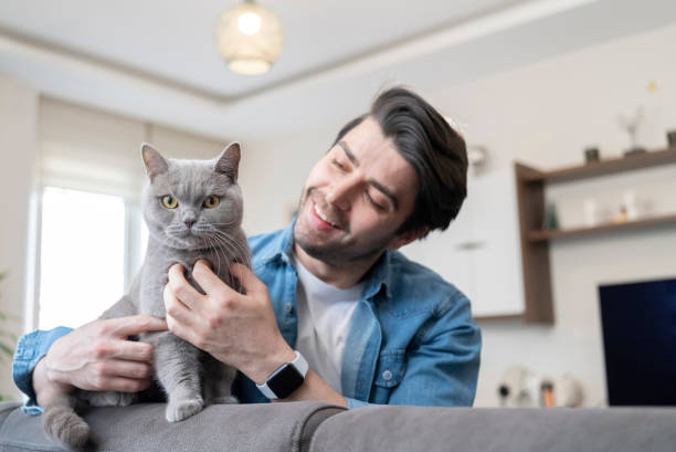 istock Cat with family member 1965073697