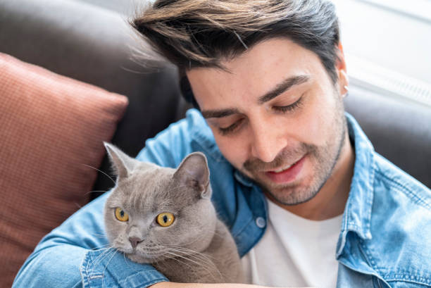 istock Cat with family member 1965073698