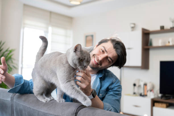 istock Cat with family member 1965073705