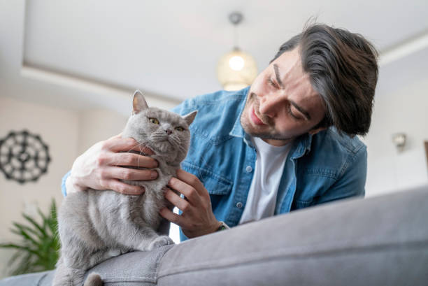 istock Cat with family member 1965073721