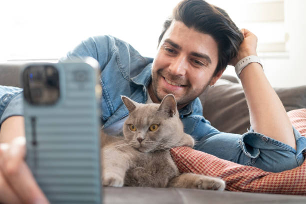 istock Cat with family member 1965073757