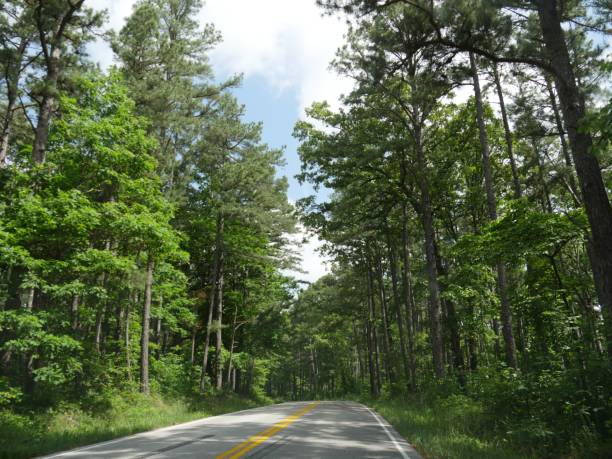 istock Paved road bordered by tall, lush trees in the forest at Hobbs State Park, Oklahoma. 1965095663
