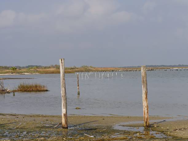 istock Wooden posts in the seashore on an overcast day. 1965101254