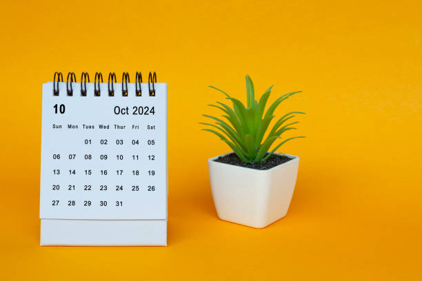 October 2024 desk calendar with potted plant on yellow background.