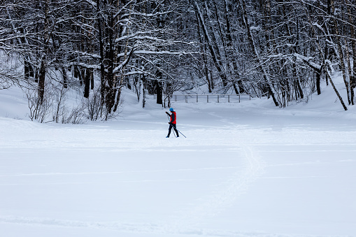 Moscow, Russia – January 27, 2024:  Woman skiing in the forest in the winter. Winter sports and activities.