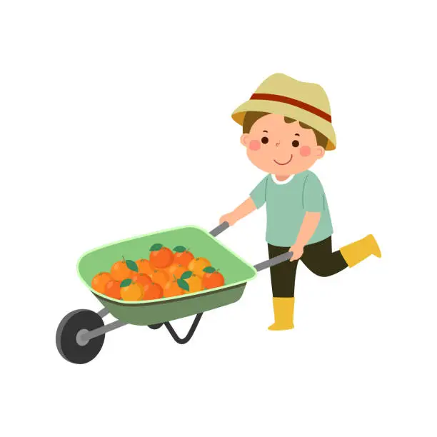 Vector illustration of Little boy gardener pushing wheelbarrow full of oranges