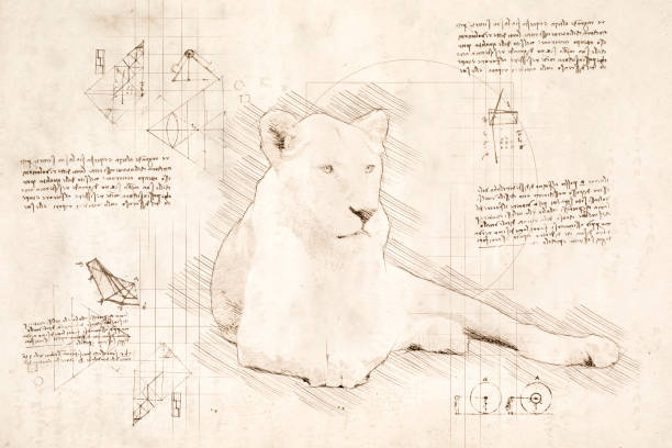 istock Sketch in da Vinci style of relaxing white female lion 1965140735