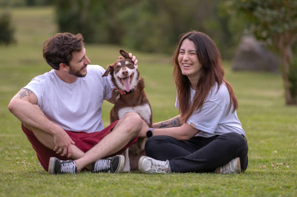 istock young couple petting their dog 1965151485