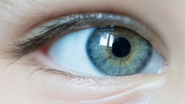 istock Clos up of a green eye. 1965156329