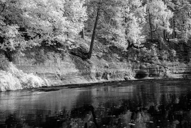 istock black and white landscape with trees at the water's edge, reflections on the water surface 1965213274