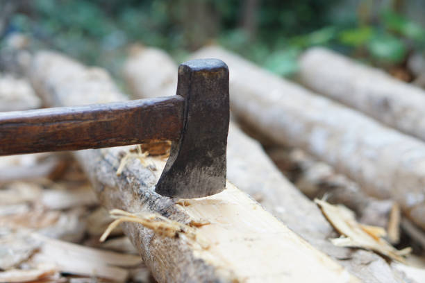Old axe cut wood. concept, Carpentry tool or equipment for construction. Use axe to cut trees. Deforestation.