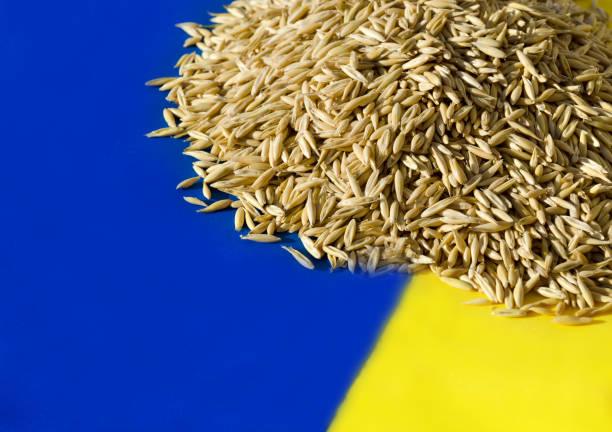 Oats lie on the Ukrainian flag.
