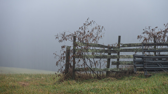 Wooden Fence Enveloped in the Silent Early Morning Winter Fog