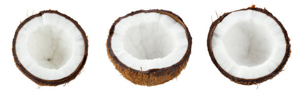 istock Tropical fruit, ollection of coconuts isolate on white background. File contains clipping path. 1965264633