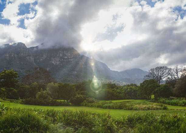 città del capo, table mountain, vista dal giardino botanico, giorno nuvoloso e nebbioso - south africa road cape town the garden route foto e immagini stock