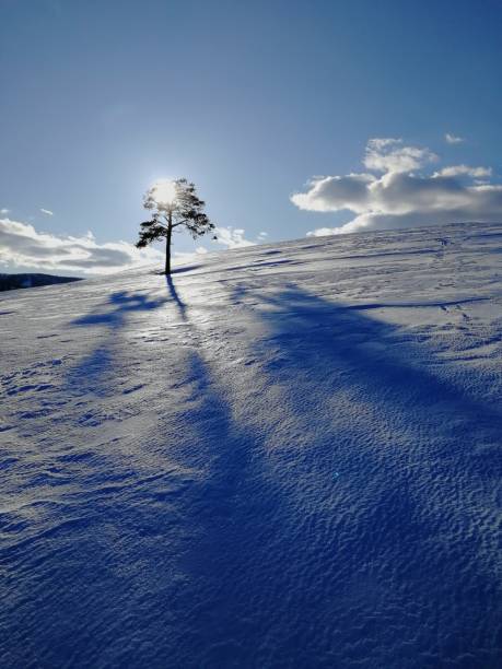 Biei in winter