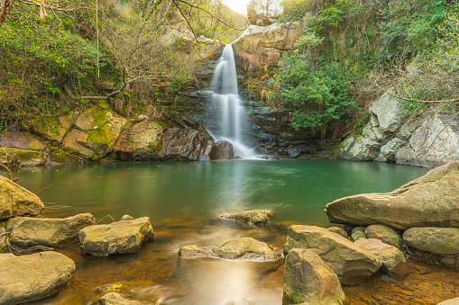 Tranquil waterfall cascading into a clear forest pool surrounded by lush foliage and rugged rocks.