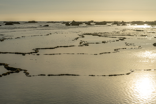 Golden light of sunset reflecting on water amidst the textured tidal pools and rocks at the coast.