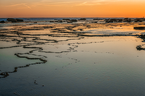 Golden light of sunset reflecting on water amidst the textured tidal pools and rocks at the coast.