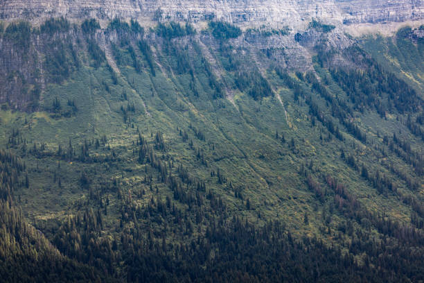 Beautiful and dramatic landscape of the mountains with fog and low clouds in Glacier Montana
