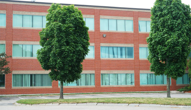 istock exterior view of company office building 1965416131